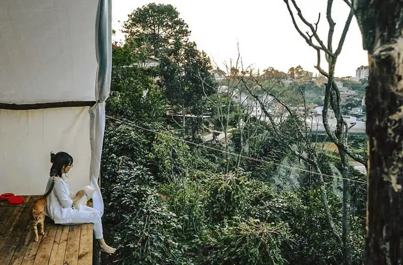Ghé thăm homestay Nhà Cú treo lơ lửng ở Đà Lạt 15 Wanderlust Tips hut hon voi ve dep homestay nha cu treo lo lung o Da Lat 11
