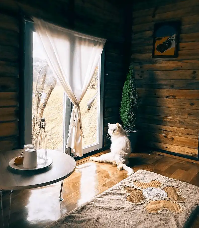 Ghé thăm homestay Nhà Cú treo lơ lửng ở Đà Lạt 8 Wanderlust Tips hut hon voi ve dep homestay nha cu treo lo lung o Da Lat 14