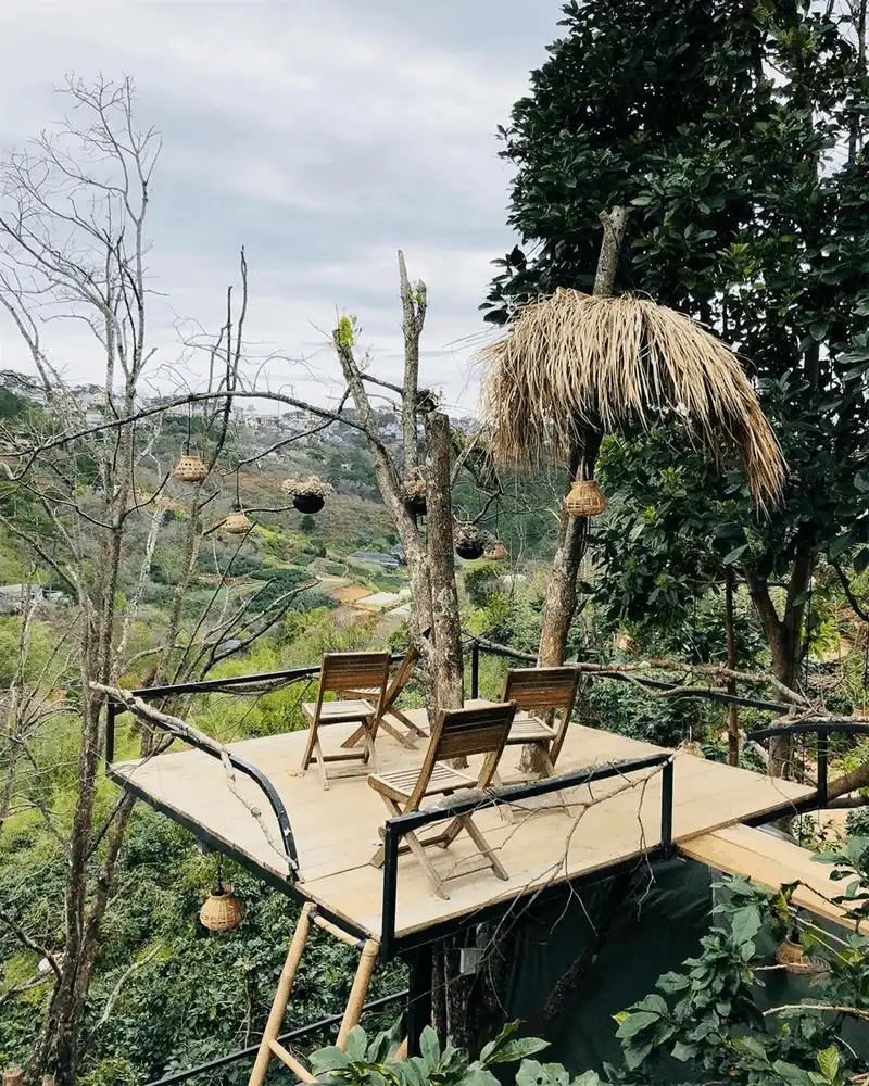 Ghé thăm homestay Nhà Cú treo lơ lửng ở Đà Lạt 7 Wanderlust Tips hut hon voi ve dep homestay nha cu treo lo lung o Da Lat 16