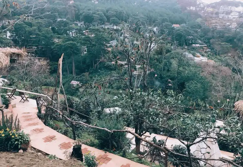Ghé thăm homestay Nhà Cú treo lơ lửng ở Đà Lạt 19 Wanderlust Tips hut hon voi ve dep homestay nha cu treo lo lung o Da Lat 17