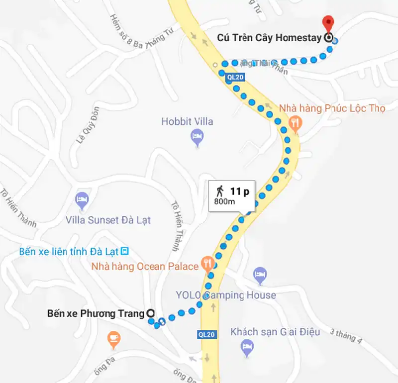 Ghé thăm homestay Nhà Cú treo lơ lửng ở Đà Lạt 11 Wanderlust Tips hut hon voi ve dep homestay nha cu treo lo lung o Da Lat 20