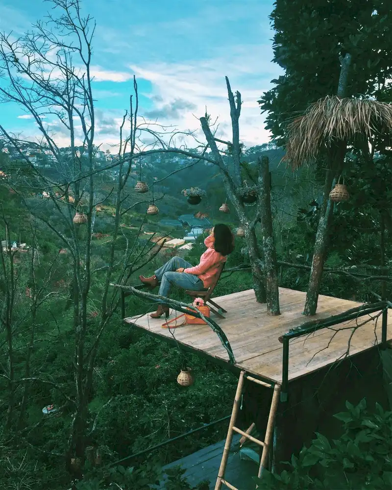 Ghé thăm homestay Nhà Cú treo lơ lửng ở Đà Lạt 6 Wanderlust Tips hut hon voi ve dep homestay nha cu treo lo lung o Da Lat 4