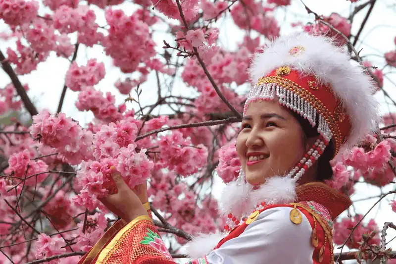 Ngây ngất trong sắc hoa anh đào ở Quý Châu, Trung Quốc 6 Wanderlust Tips ngap chim trong sac hoa anh dao tai dao nhan tao o quy chau trung quoc 5