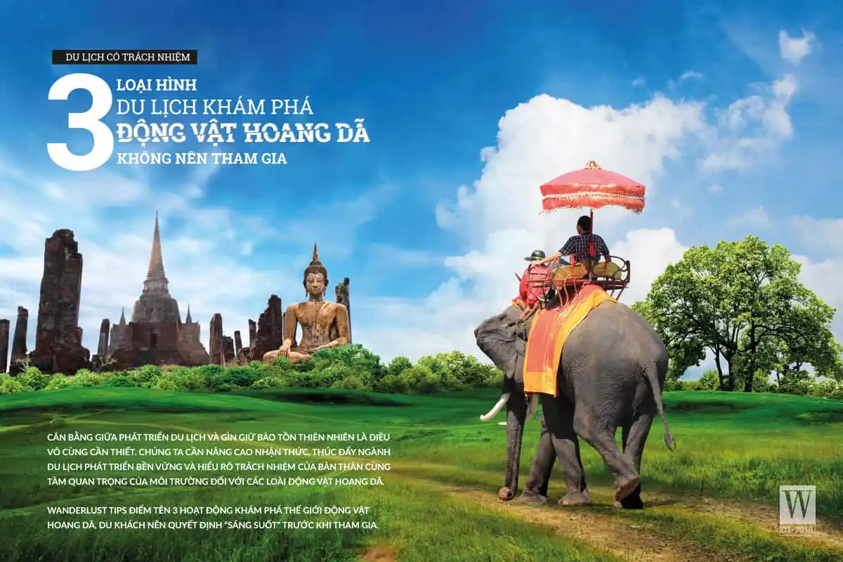 wanderlust tips 3 loai hinh du lich kham pha dong vat hoang da khong nen tham gia