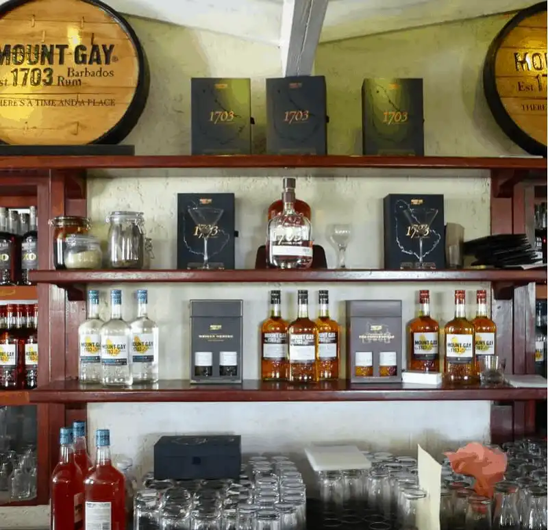 Barbados - điểm đến dành cho mọi lứa tuổi 11 wanderlust tips Barbado diem den danh cho moi lua tuoi 8 1