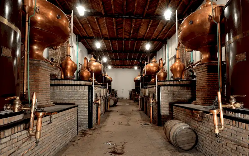 Coahuila - vùng đất có thương hiệu vang nho hơn 400 năm ở Mexico 6 wanderlust tips Coahuila Mexico vung dat hang dau ve ruou vang nho2