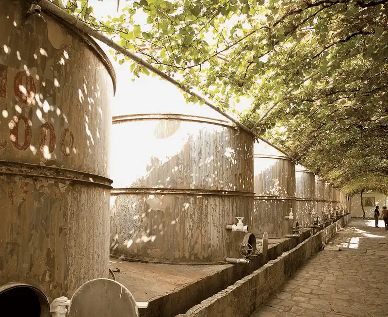 Coahuila - vùng đất có thương hiệu vang nho hơn 400 năm ở Mexico 8 wanderlust tips Coahuila Mexico vung dat hang dau ve ruou vang nho4