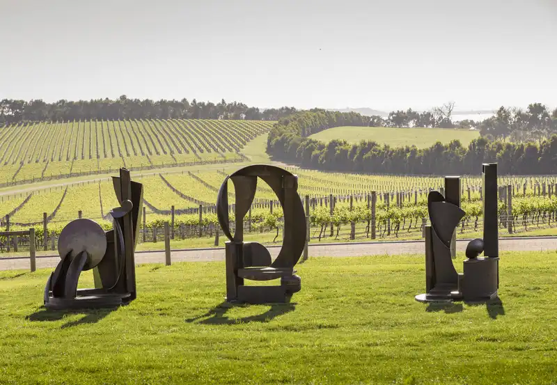 Coahuila - vùng đất có thương hiệu vang nho hơn 400 năm ở Mexico 9 wanderlust tips Coahuila Mexico vung dat hang dau ve ruou vang nho5