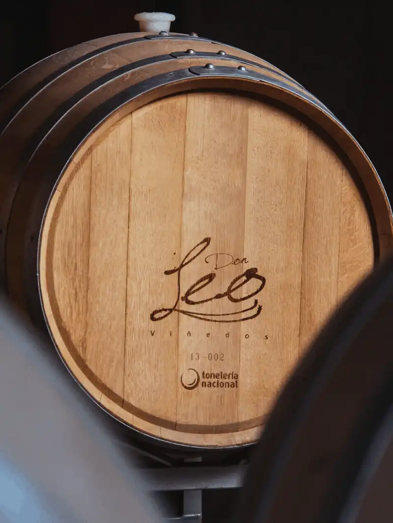 Coahuila - vùng đất có thương hiệu vang nho hơn 400 năm ở Mexico 10 wanderlust tips Coahuila Mexico vung dat hang dau ve ruou vang nho7