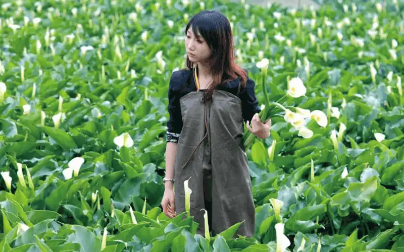 wanderlust tips Kham pha xu huong du lich nong nghiep o dai Loan5