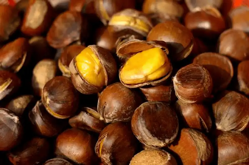 Khám phá khu di tích quốc gia đặc biệt Pác Bó, Cao Bằng 20 wanderlust tips kham pha khu di tich quoc gia dac biet pac bo cao bang 7