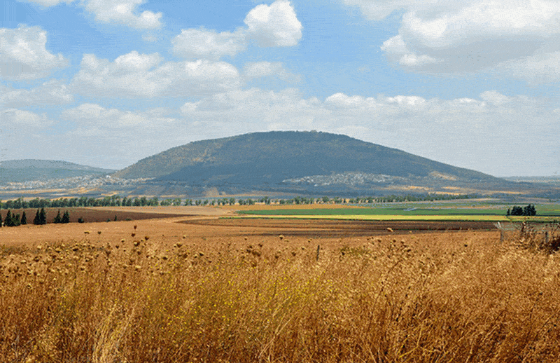 wanderlust tips kinh nghiem du lich isarel chi tiet 9