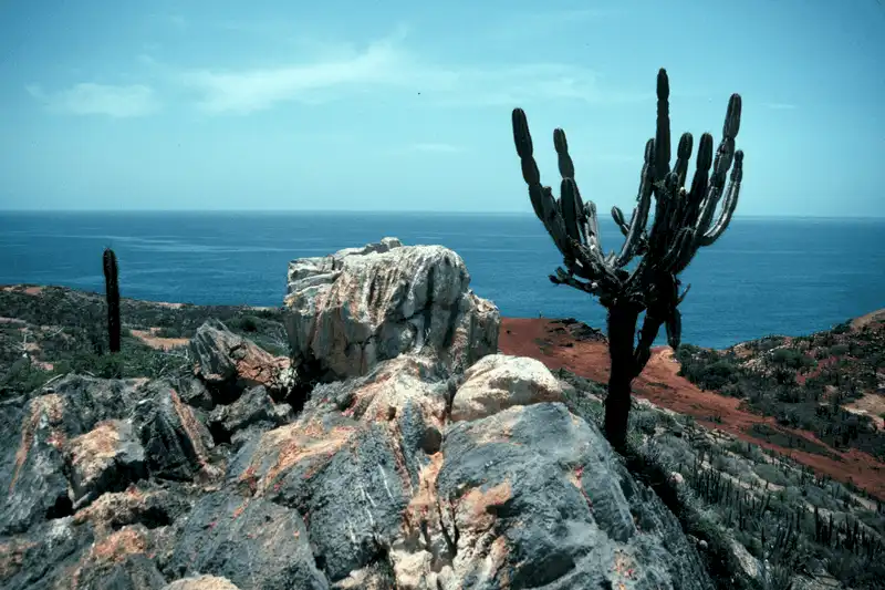 wanderlust tips kinh nghiem du lich venezuela dat nuoc hoa hau 6