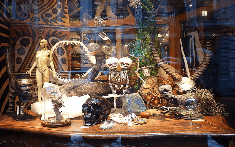 Tới New York, Mỹ nhất định phải mua sắm ở "viện bảo tàng" The Evolution Store 5 Wanderlust Tips Den mua sam o vien bao tang The Evolution Store3 1