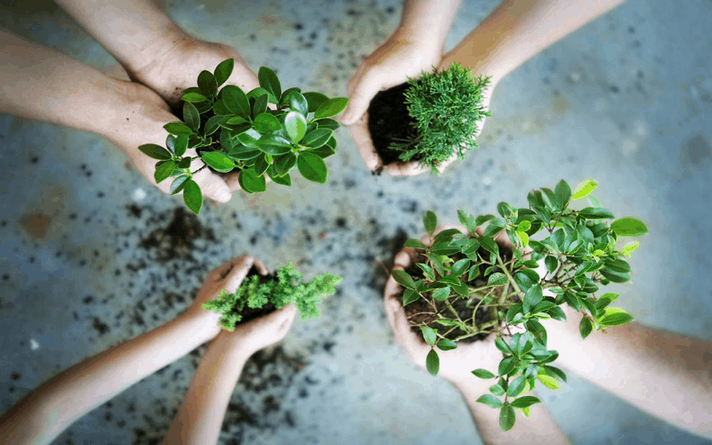 Du lịch có trách nhiệm : Những con số biết nói