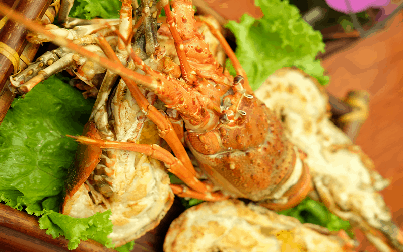 Trải nghiệm thực đơn buffet mới trưa thứ bảy tại Hilton Hanoi Opera 5 wanderlust tips trai nghiem thuc don buffet moi trua thu bay tai hilton hanoi opera 20