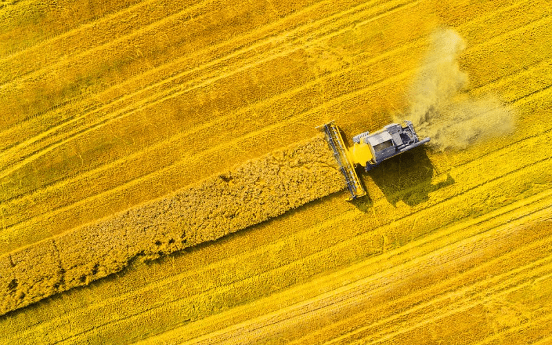 Những bức ảnh du lịch đẹp ngoạn mục từ trên cao