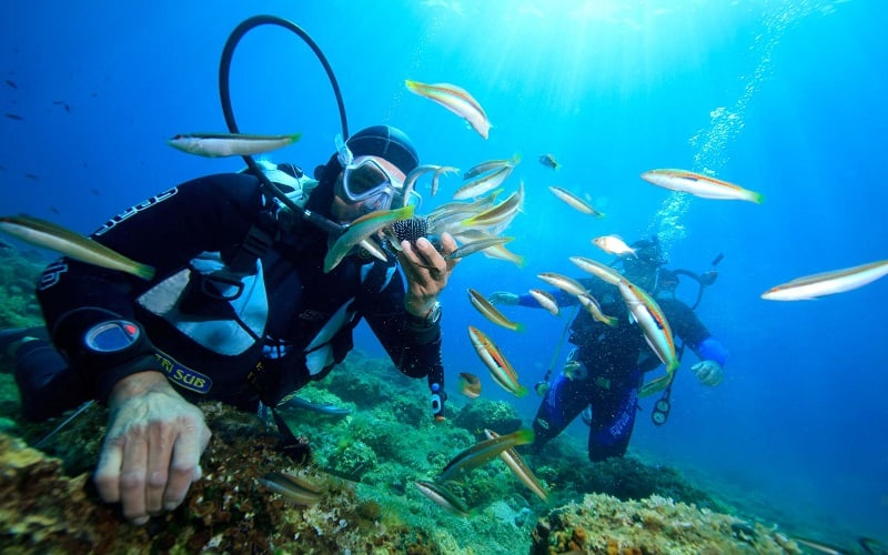 Ban hành quy định mới về môn lặn biển tại Việt Nam
