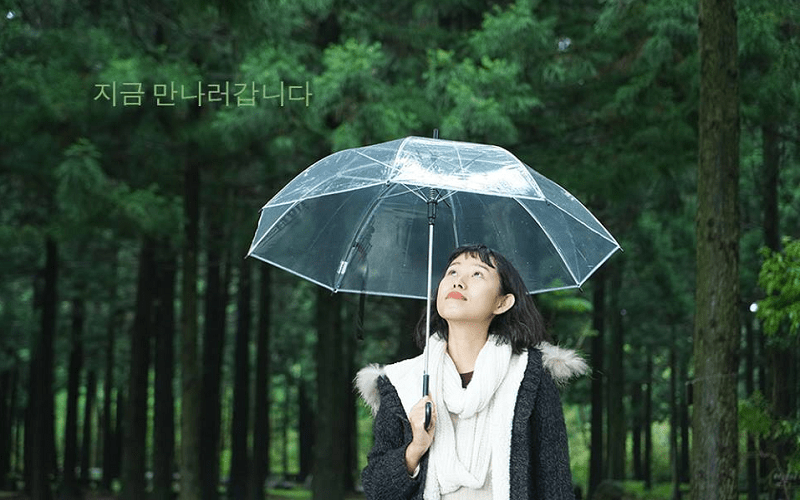 wanderlust tips hello world va thien duong xanh dao jeju 0