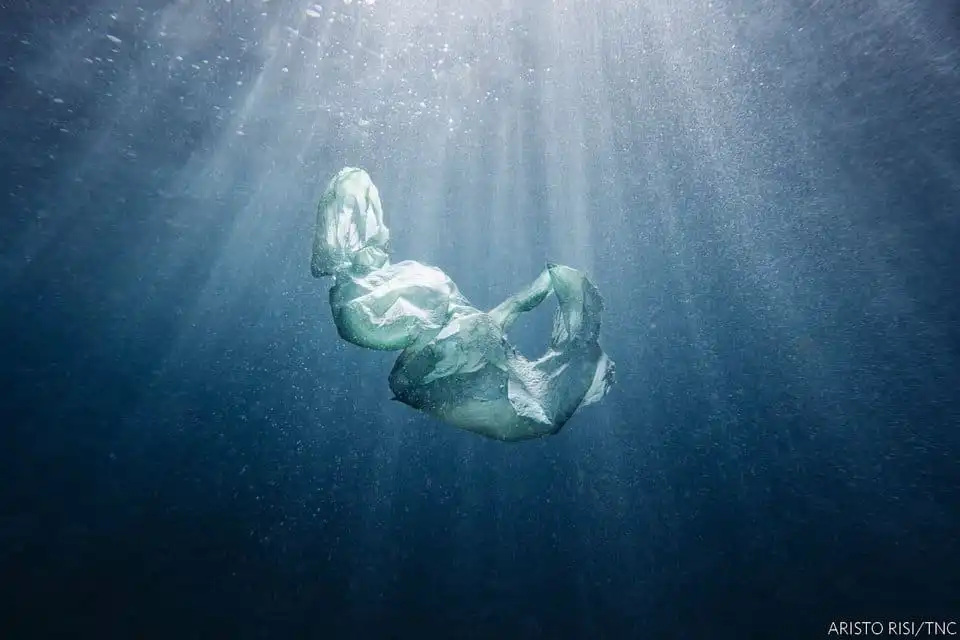 Tạp chí du lịch Wanderlust Tips Cuộc thi ảnh thiên nhiên của The Nature Conservancy