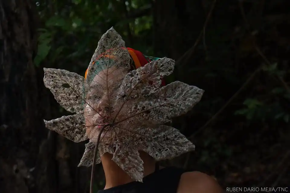 Tạp chí du lịch Wanderlust Tips Cuộc thi ảnh thiên nhiên của The Nature Conservancy