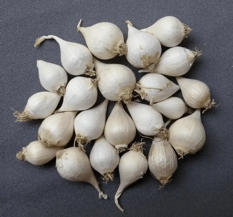 Có một Hòn Đỏ đẹp đến kì lạ ở Ninh Thuận 11 Tạp chí du lịch Wanderlust Tips có một hòn đỏ đẹp đến lạ ở Ninh Thuận