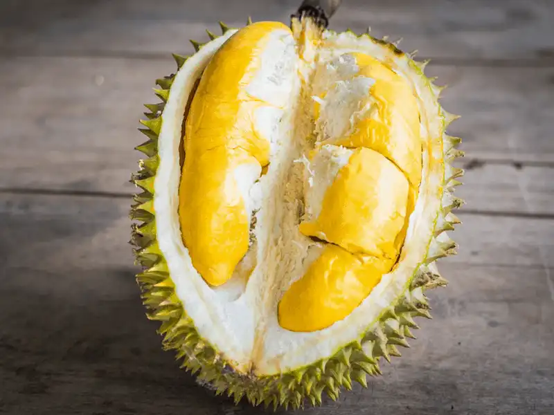 Đến Davao bạn phải biết những điều này 23 Tạp chí du lịch Wanderlust Tips Đến Davao, bạn phải biết những điều này