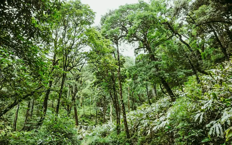 Wanderlust tips khai thac them 3 tuyen du lich sinh thai o Vuon quoc gia Hoang Lien 5 1