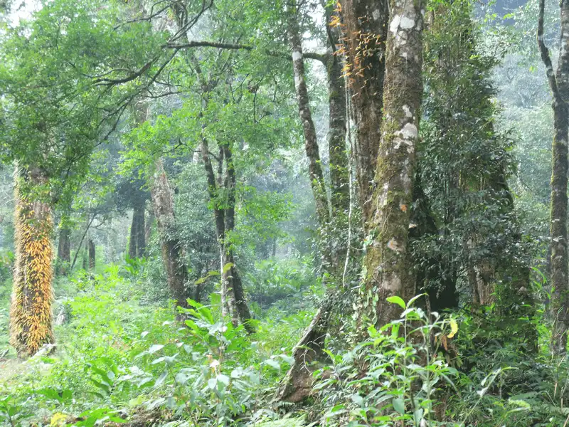 Tạp chí du lịch Wanderlust Tips khai thác thêm 3 tuyến du lịch sinh thái ở Vườn quốc gia Hoàng Liên