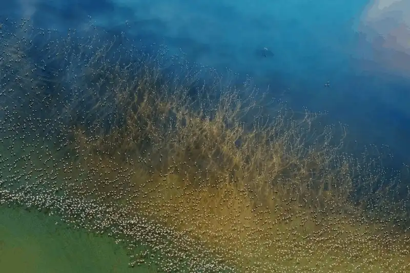 Tạp chí du lịch Wanderlust Tips Ngắm nhìn 10 bức ảnh đoạt giải trong cuộc thi ảnh Nhiếp ảnh gia du lịch 2018