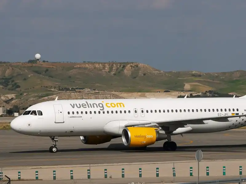 Tạp chí Du lịch Wanderlust Tips 10 hãng hàng không cho phép mang vật nuôi lên máy bay