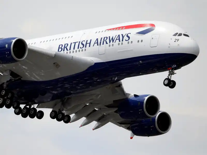 Tạp chí Du lịch Wanderlust Tips 10 hãng hàng không cho phép mang vật nuôi lên máy bay