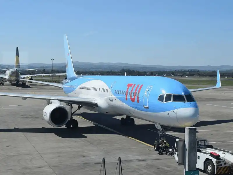 Tạp chí Du lịch Wanderlust Tips 10 hãng hàng không cho phép mang vật nuôi lên máy bay