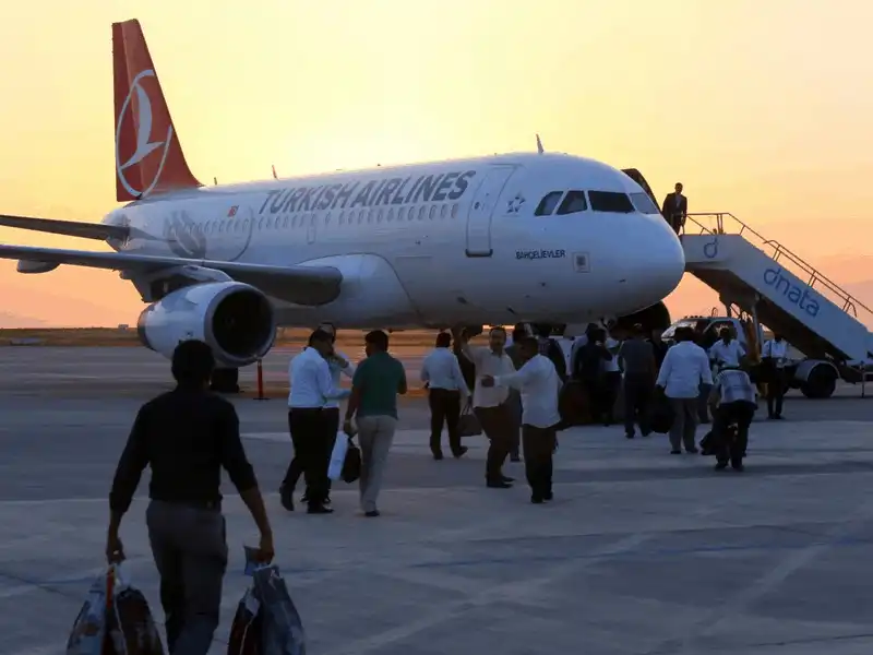 Tạp chí Du lịch Wanderlust Tips 10 hãng hàng không cho phép mang vật nuôi lên máy bay