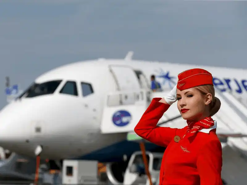 Tạp chí Du lịch Wanderlust Tips 10 hãng hàng không cho phép mang vật nuôi lên máy bay