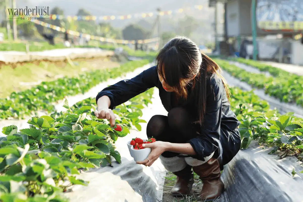 Tạp chí Du lịch Wanderlust Tips 5 xu hướng du lịch “lên ngôi” ở châu Á