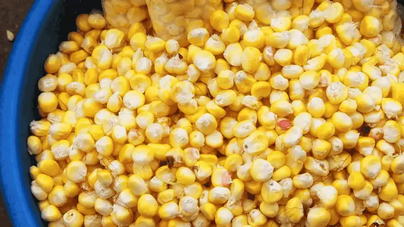 6 bí quyết chụp ảnh đường phố khi đi du lịch 7 Tạp chí Du lịch Wanderlust Tips 6 bí quyết chụp ảnh đường phố khi đi du lịch