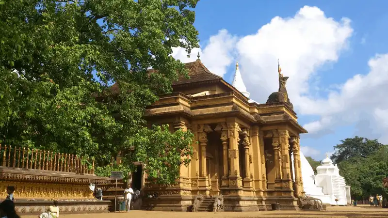 Tạp chí Du lịch Wanderlust Tips 7 điều cần biết trước khi du lịch đến Sri Lanka