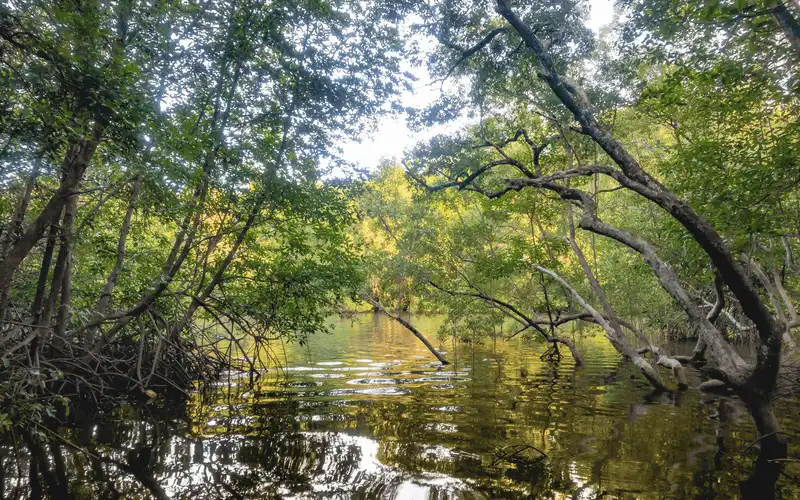 Tạp chí du lịch Wanderlust Tips Prasae - Thị trấn nhỏ xinh ở Rayong, Thái Lan