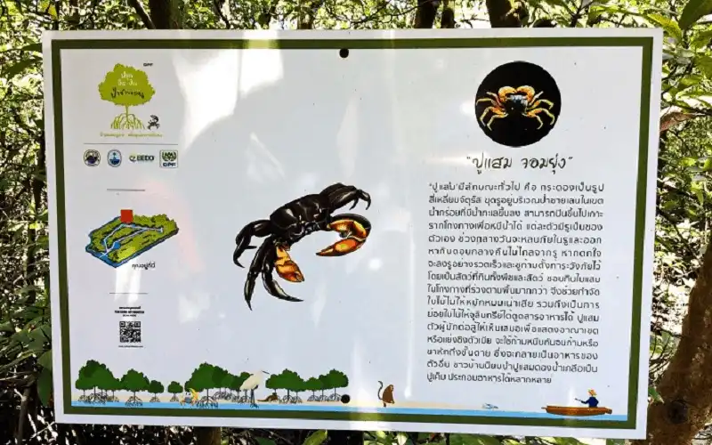 Tạp chí du lịch Wanderlust Tips Prasae - Thị trấn nhỏ xinh ở Rayong, Thái Lan