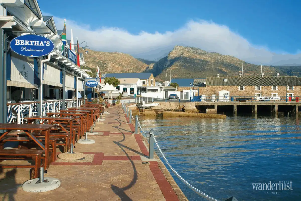 Tạp chí Du lịch Wanderlust Tips Cape Town – nơi đại dương hội ngộ