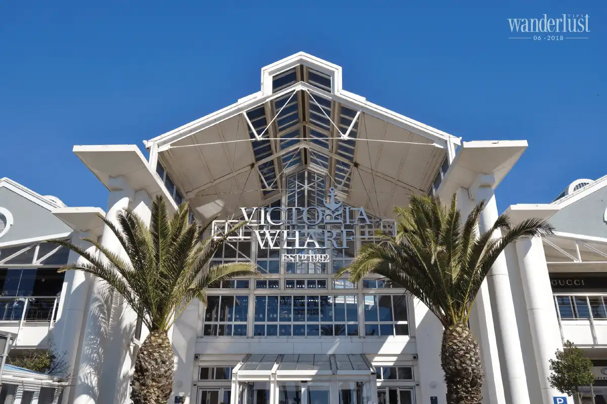 Tạp chí Du lịch Wanderlust Tips Cape Town – nơi đại dương hội ngộ