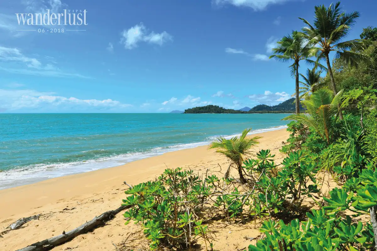 Tạp chí Du lịch Wanderlust Tips Cape Town – nơi đại dương hội ngộ