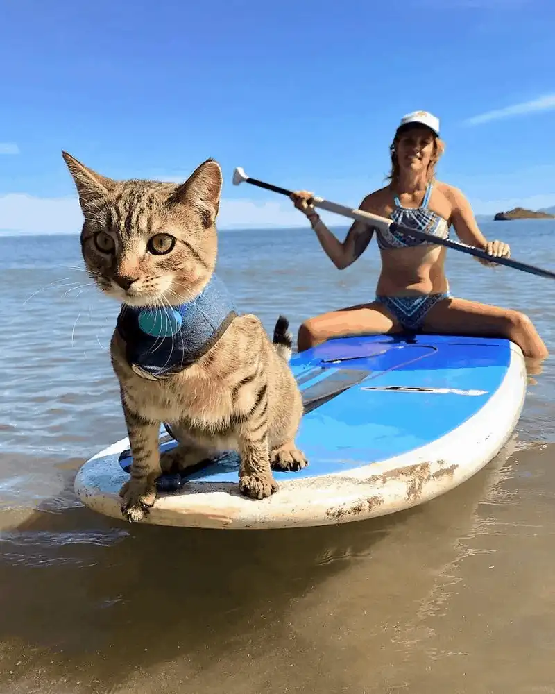 Tạp chí du lịch Wanderlust Tips Du lịch thế giới trên những chiếc xe tự lái (Kỳ 2)