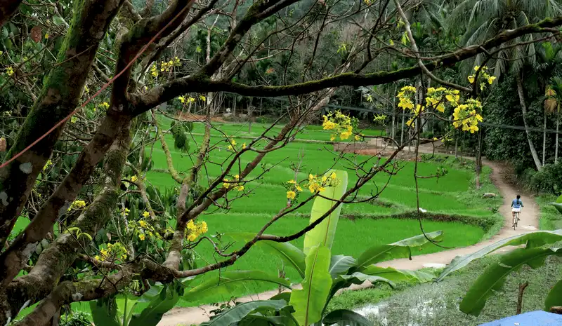 Ghé thăm vùng đất “tiên cảnh” Tiên Phước 5 Tạp chí Du lịch Wanderlust Tips Ghé thăm vùng đất “tiên cảnh phước lộc” Tiên Phước