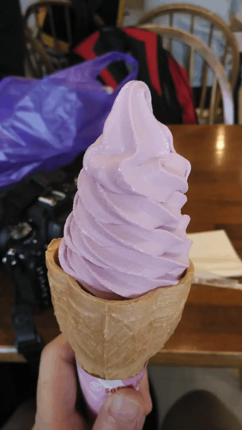 Hoa oải hương đẹp mê đắm tại công viên Oishi, Nhật Bản 10 Tạp chí du lịch Wanderlust Tips Hoa oải hương đẹp mê đắm tại công viên Oishi, Nhật Bản