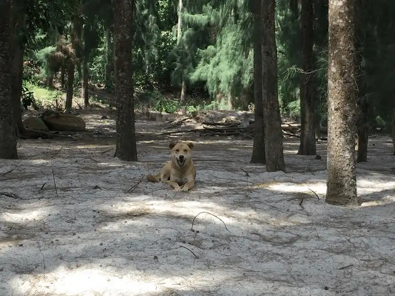 Tạp chí du lịch Wanderlust Tips Hòn Gội, Quảng Ninh - điểm đến mới toanh cho mùa hè 2018