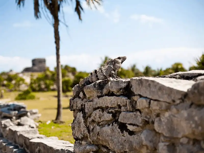 Tạp chí du lịch Wanderlust Tips Khám phá tàn tích của người Maya ở Riviera Maya, Mexico 