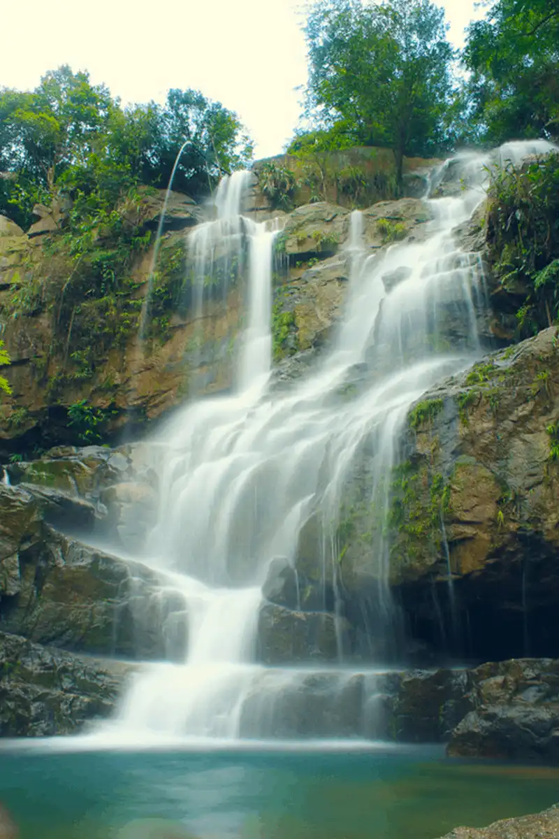 Lựng Xanh - điểm dừng chân mới cho những ngày hè 5 Tạp chí Du lịch Wanderlust Tips Lựng Xanh - điểm dừng chân mới cho những ngày hè