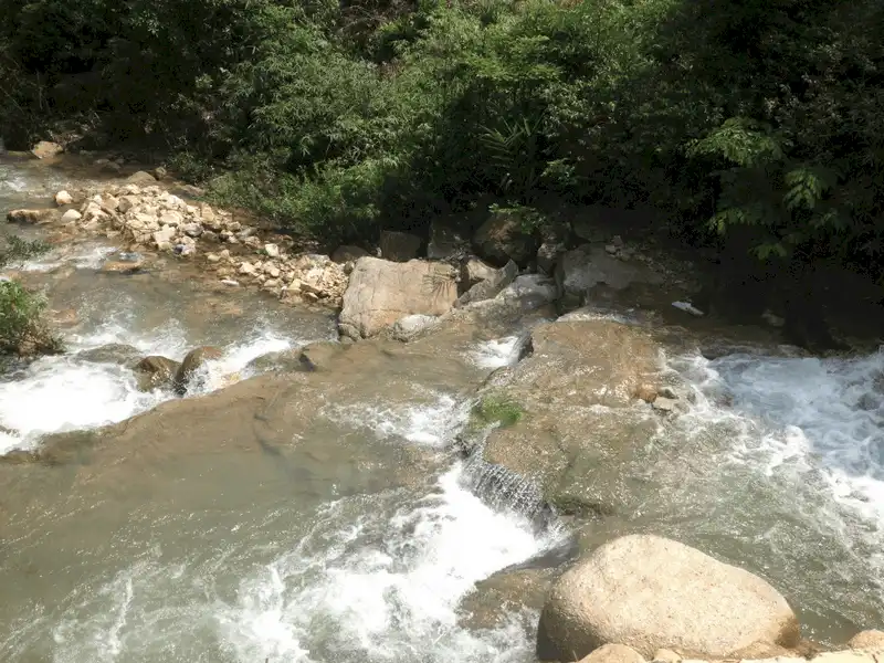 Lựng Xanh - điểm dừng chân mới cho những ngày hè 6 Tạp chí Du lịch Wanderlust Tips Lựng Xanh - điểm dừng chân mới cho những ngày hè